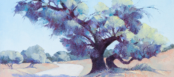 Grey Camel Thorn Tree II - Kalaghadi | 2014-15 | Oil on Canvas | 40 x 55 cm